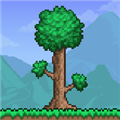 泰拉瑞亚1.4.5.4