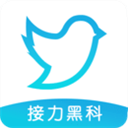 飞鸟下载器app