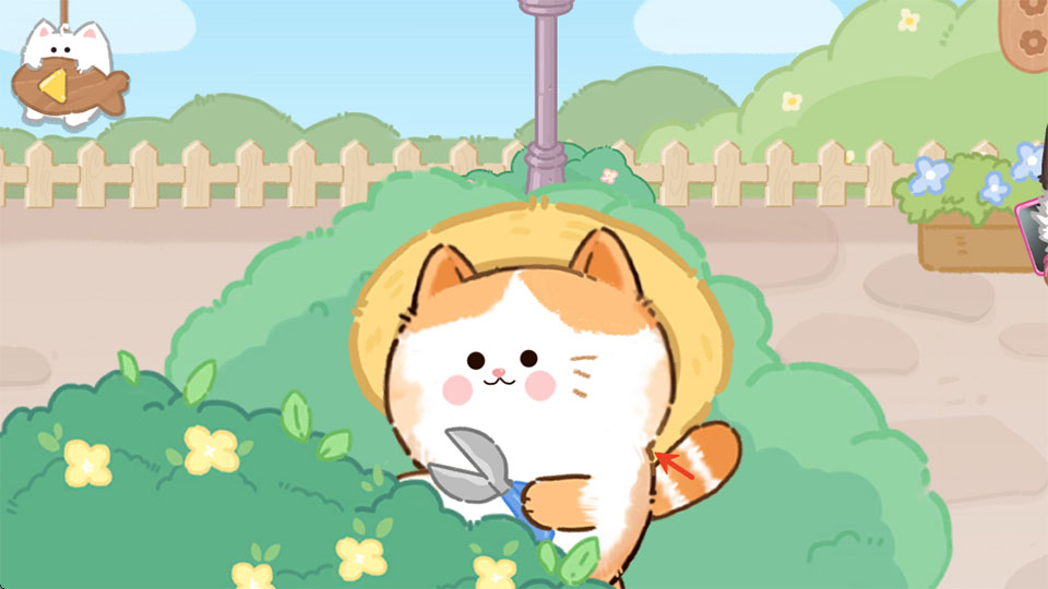 猫咪疗愈所