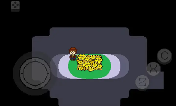 传说之下黄金正义中文版截图5