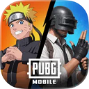 地铁逃生国际服pubg