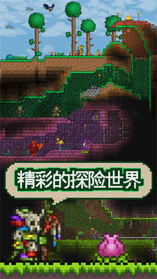 泰拉瑞亚1.4.5.6汉化版截图3
