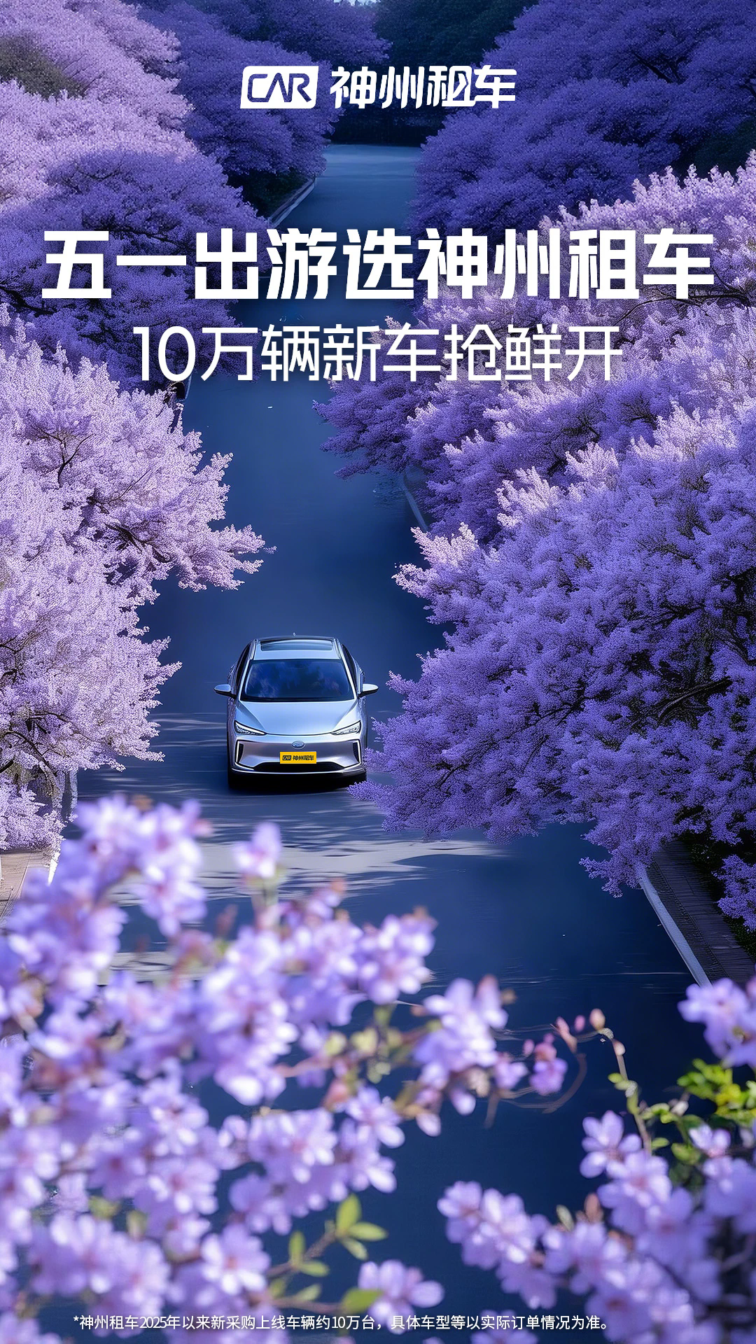 神州租车官网版截图4