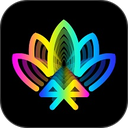 宝莲灯pro调色