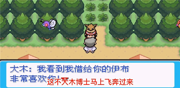 口袋妖怪去吧伊布