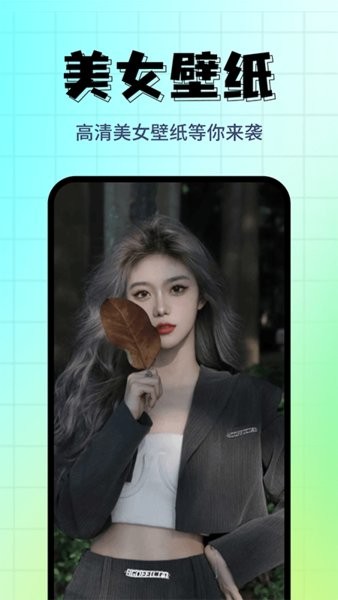 壁纸主题精选手机版截图2